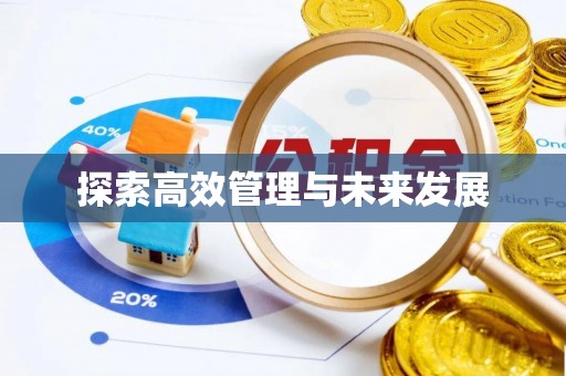 永平探索高效管理与未来发展