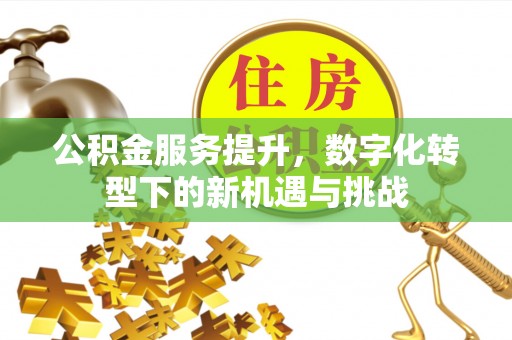 永平公积金服务提升，数字化转型下的新机遇与挑战