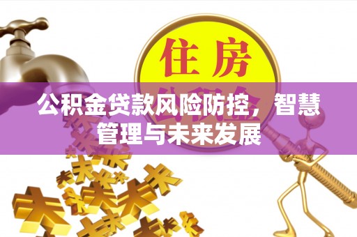 永平公积金贷款风险防控，智慧管理与未来发展