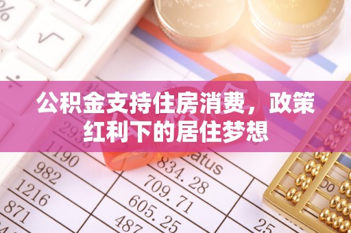 永平公积金支持住房消费，政策红利下的居住梦想