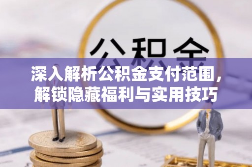 永平深入解析公积金支付范围，解锁隐藏福利与实用技巧