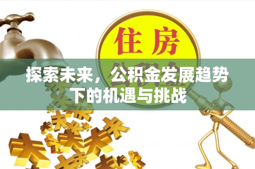 永平探索未来，公积金发展趋势下的机遇与挑战