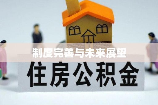 永平制度完善与未来展望