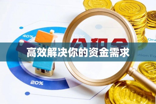 永平高效解决你的资金需求