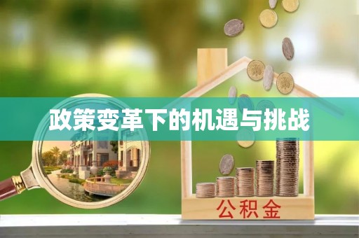 永平政策变革下的机遇与挑战