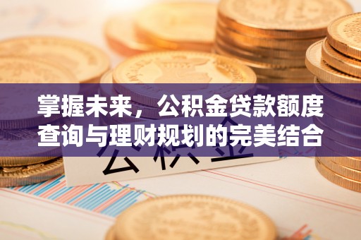 永平掌握未来，公积金贷款额度查询与理财规划的完美结合