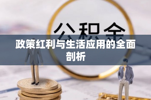 永平政策红利与生活应用的全面剖析