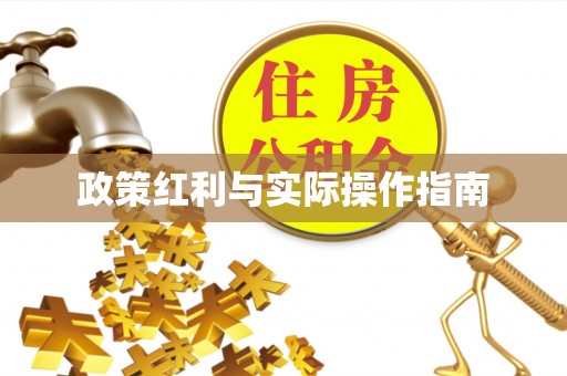 永平政策红利与实际操作指南