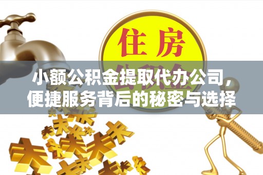 永平小额公积金提取代办公司，便捷服务背后的秘密与选择指南