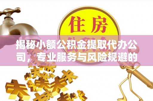 永平揭秘小额公积金提取代办公司，专业服务与风险规避的平衡艺术