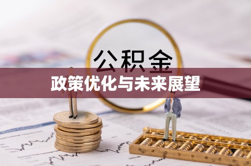 永平政策优化与未来展望
