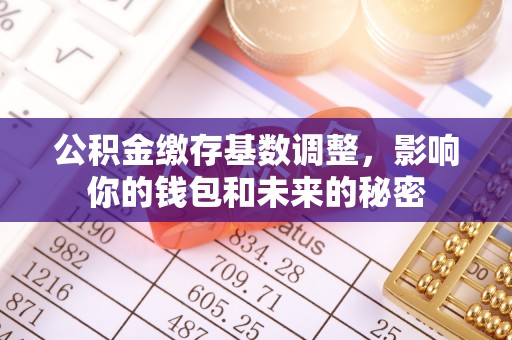 永平公积金缴存基数调整，影响你的钱包和未来的秘密
