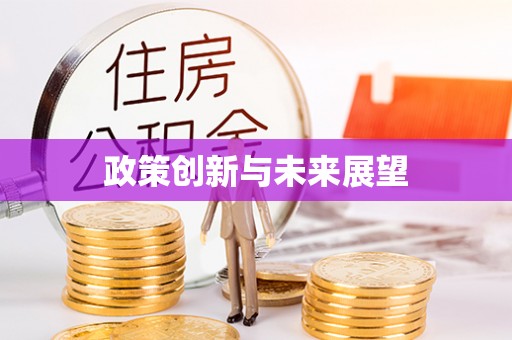 永平政策创新与未来展望