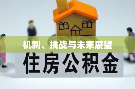 永平机制、挑战与未来展望