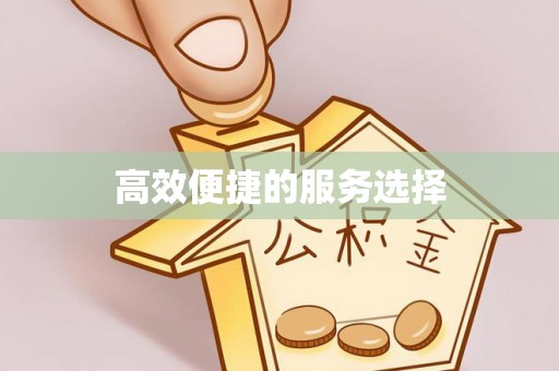 永平高效便捷的服务选择