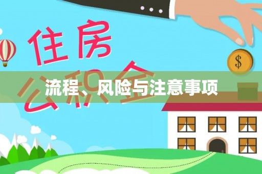 永平流程、风险与注意事项